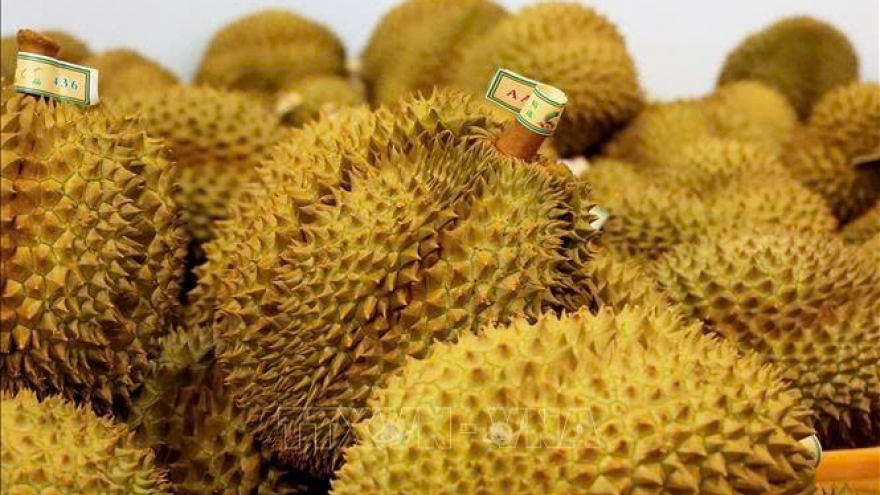 Vietnam’s frozen durian exports triple in H1